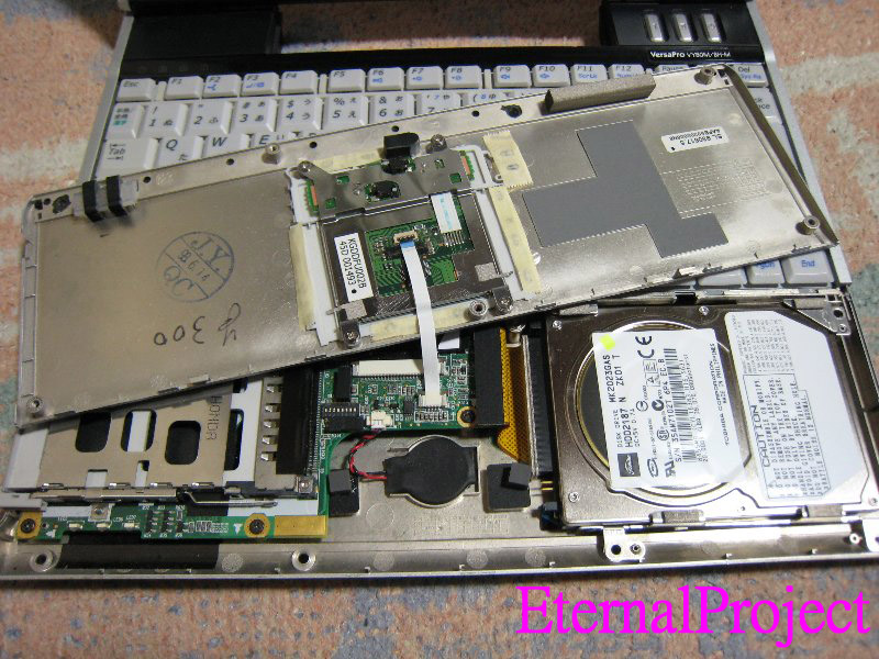 ���ŵ�������