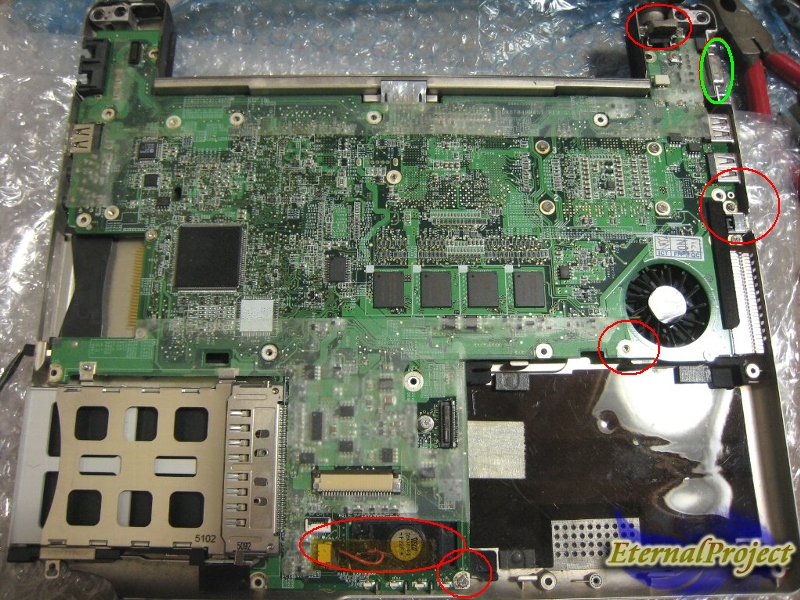 ���ŵ������ա�